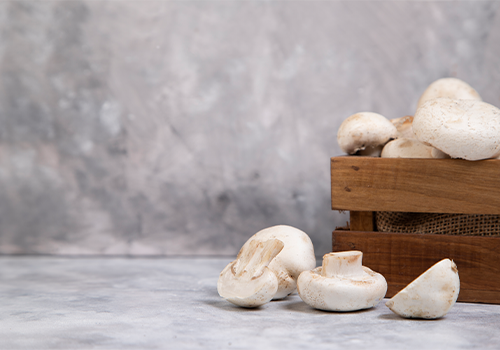 О пользе грибов в рационе питания