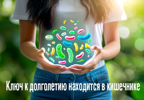 Марафон «ЖКТ-долголетие»